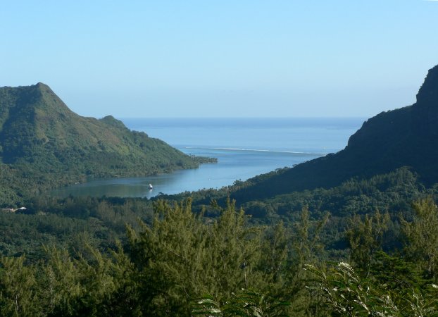 35- Baie d'Opunohu vue de la vallee 
